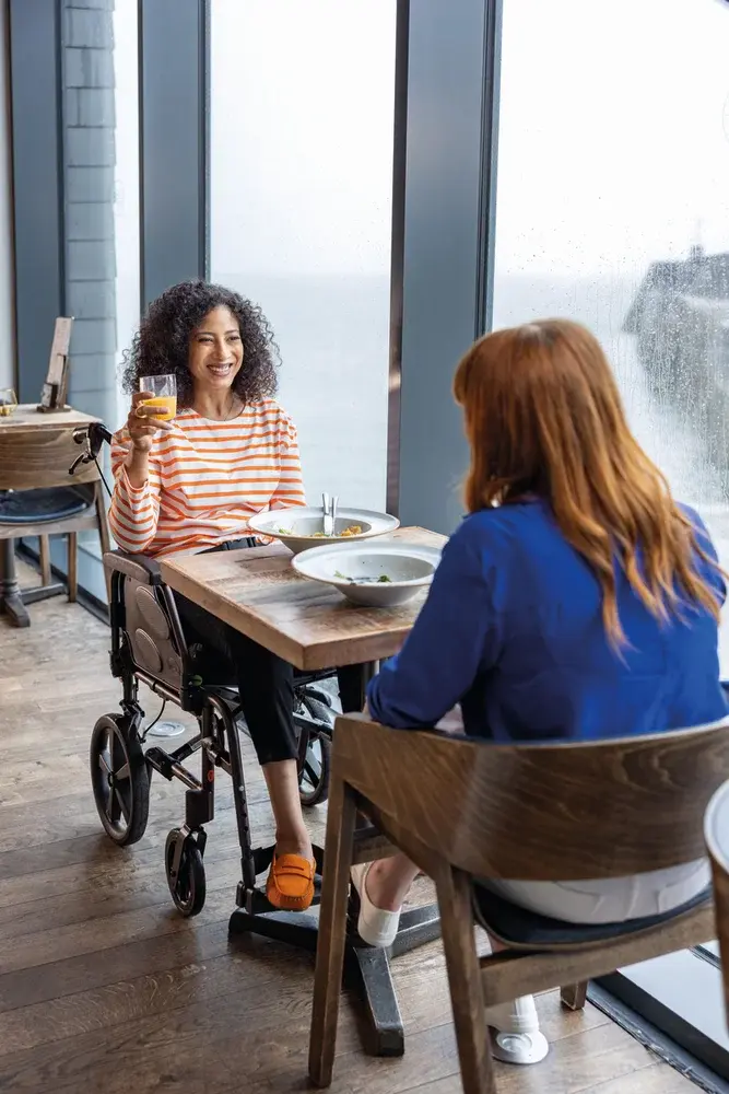 Fauteuil de transfert Action 2 NG Transit Lite