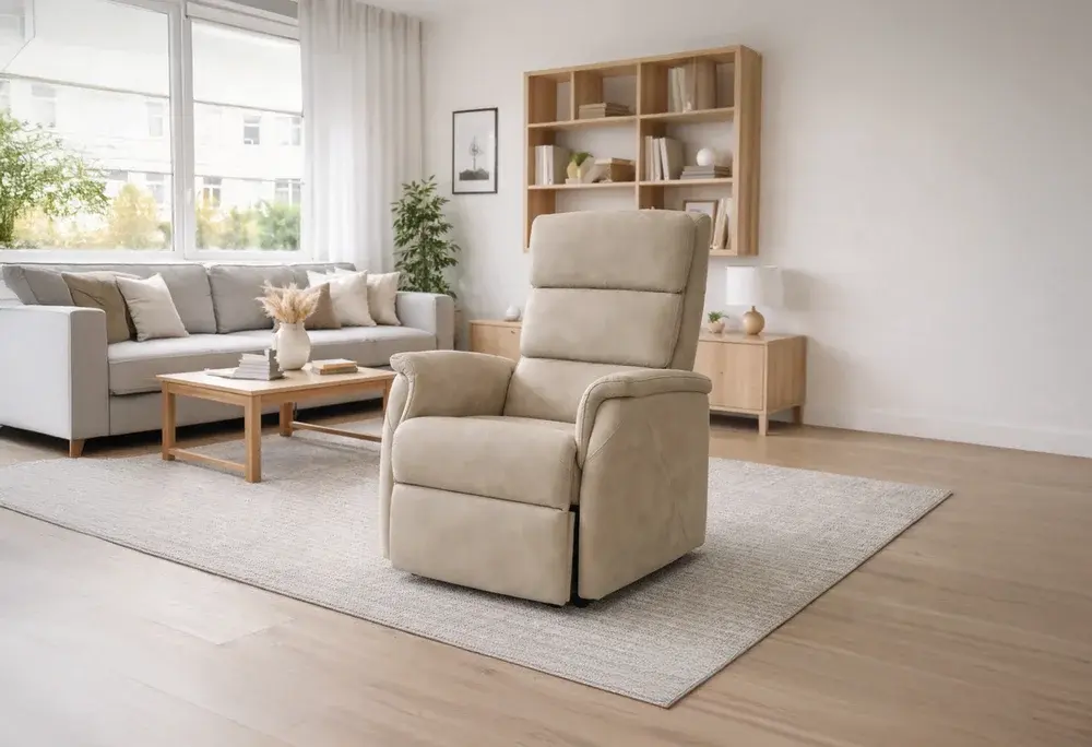 Fauteuil releveur 2 moteurs Holen