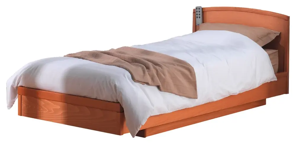 Lit médicalisé releveur simple Euro 4000