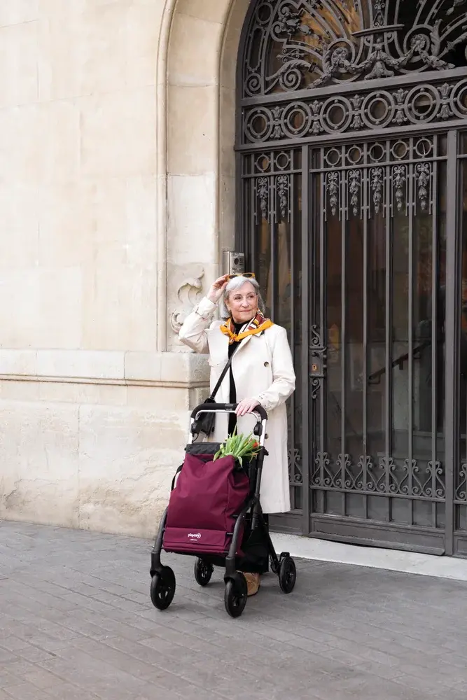 Déambulateur 4 roues chariot de courses R05