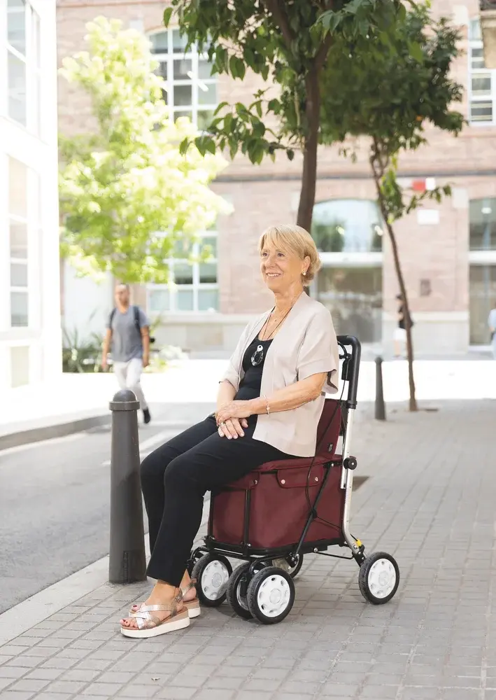 Rollator 4 roues Lett900