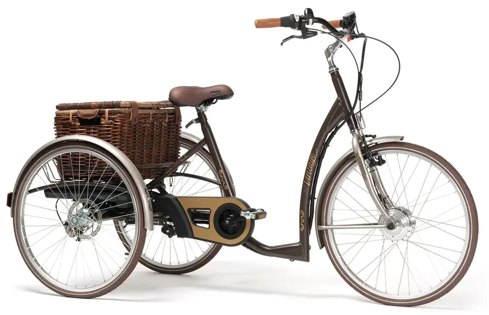 Tricycle orthopédique Vintage