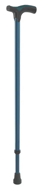 Produit Canne de marche 4 Pop Image