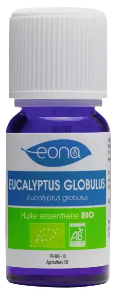 Produit Huile essentielle Eucalyptus globulus BIO Image