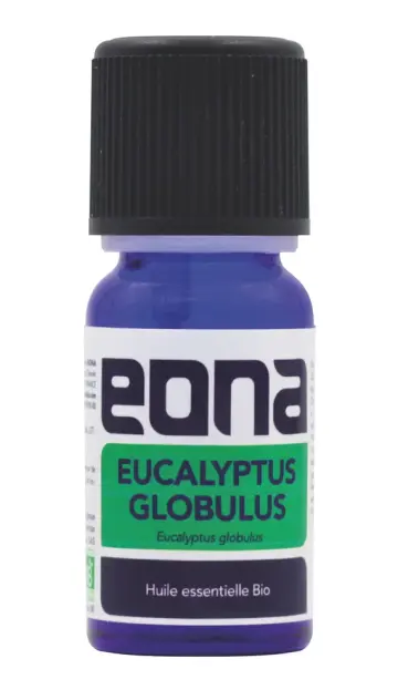 Produit Huile essentielle Eucalyptus globulus BIO Image