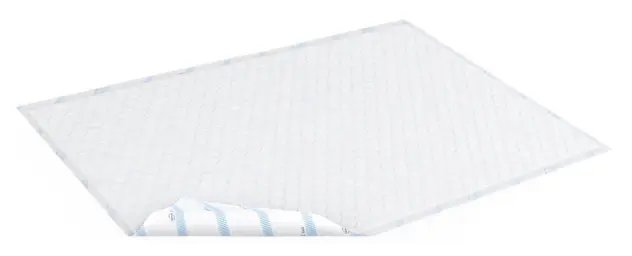 Produit Alèse absorbante jetable Bed Image