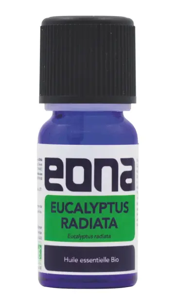 Produit Huile essentielle Eucalyptus radiata BIO Image