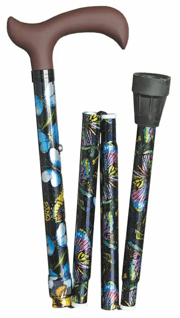 Produit Canne pliante Fashion Image