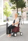 Vignette - Rollator 4 roues Lett900