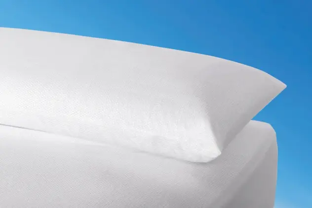 Produit Taie d'oreiller Thermoconfort Image