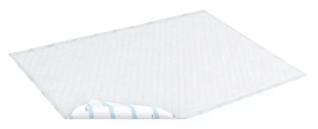 Produit Alèse absorbante jetable Bed Image