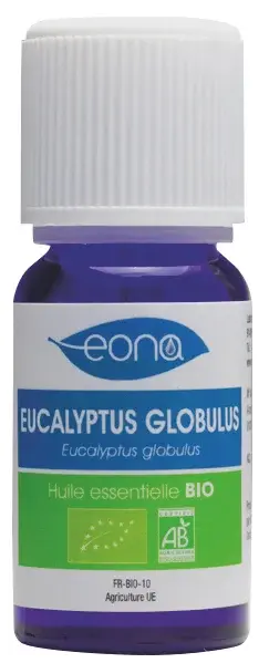Produit Huile essentielle Eucalyptus globulus BIO Image