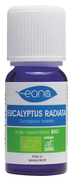 Produit Huile essentielle Eucalyptus radiata BIO Image