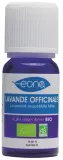 Vignette - Huile essentielle Lavande officinale BIO