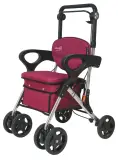 Vignette - Rollator Care Plus