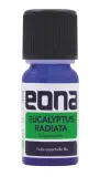 Vignette - Huile essentielle Eucalyptus radiata BIO