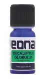 Vignette - Huile essentielle Eucalyptus globulus BIO