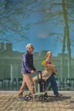 Vignette - Rollator Rollz Air