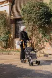 Vignette - Rollator Care Plus