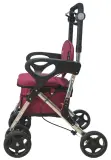 Vignette - Rollator Care Plus