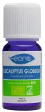 Vignette - Huile essentielle Eucalyptus globulus BIO