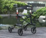 Vignette - Rollator Brooklyn