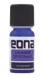 Vignette - Huile essentielle Lavande officinale BIO