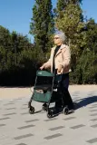 Vignette - Rollator W04