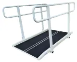 Vignette - Rampe avec mains courantes