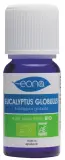 Vignette - Huile essentielle Eucalyptus globulus BIO