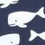 Motif baleine